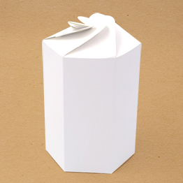 Impression packaging boite petale hexagonale écologique