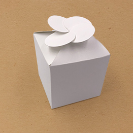 Impression packaging boite cube fermeture-petale écologique