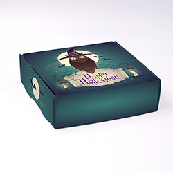 Boite coffret carton Chouette personnalisable 12x12x4cm