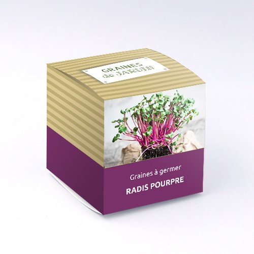 Packaging Boite cube Jardinier personnalisable