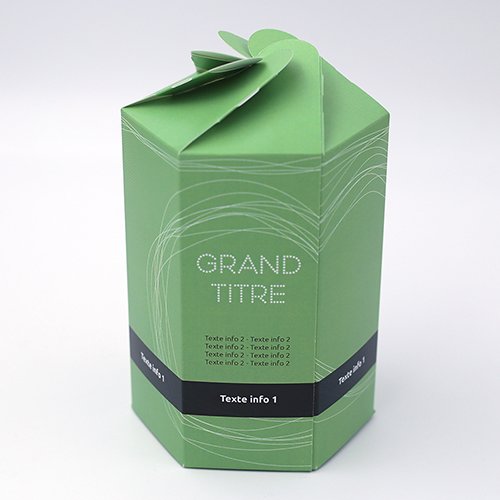Packaging Boite pétales hexagonale Filaire vert personnalisable