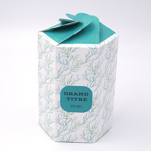 Packaging Boite pétales hexagonale Végetal vert personnalisable