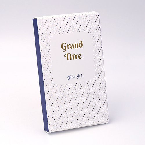 Packaging Boite rectangulaire Petits points bleu or personnalisable