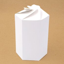 packaging écologique boîte pétales hexagonale